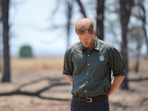 Supporting image for story: Harry honours sacrifice of Great Barr soldier who died helping safeguard wildlife