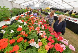 Enjoying the displays