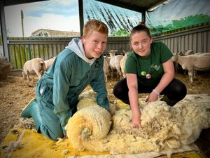 Supporting image for story: Open Farm Sunday organisers boost support for host farmers