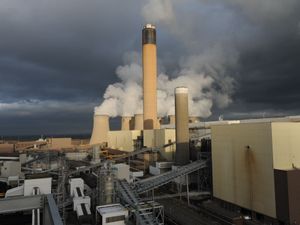 Supporting image for story: Miliband urged to end subsidies for firms burning wood for electricity