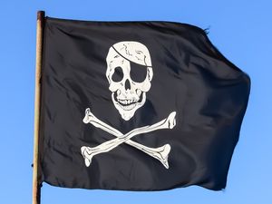 Supporting image for story: Peter Rhodes on dogs in hotels, moisturisers for men and why an aircraft carrier isn't sailing