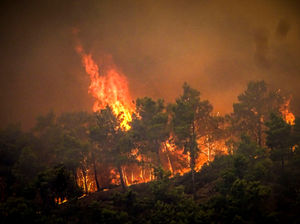 Supporting image for story: Jet2, Tui, and Thomas Cook cancel flights to Rhodes as devastating wildfires rage on