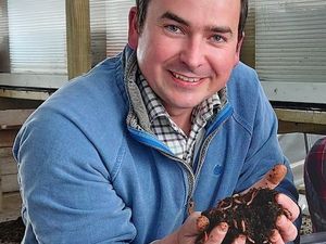 Supporting image for story: Shropshire worm farm owner benefits from advice of council-funded project on sustainability 