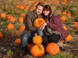 Supporting image for story: Romantic engineer pops the question in the pumpkin patch