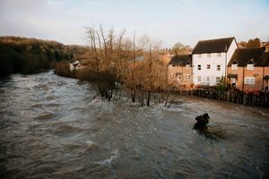 February's flooding on the River Teme