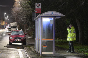 Collision investigators took photos of the car and a nearby bus stop. Photo: SnapperSK