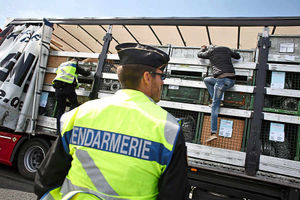 Supporting image for story: Illegal immigrants forced to crime, top Shropshire judge says
