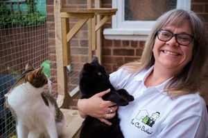 Supporting image for story: 'Pawsome' news for Stourbridge cat sitting business