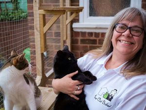 Supporting image for story: 'Pawsome' news for Stourbridge cat sitting business