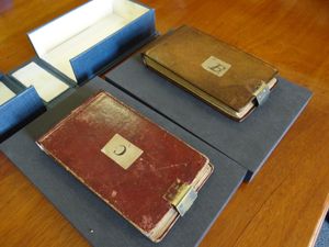 The two Darwin manuscripts were believed to be stolen. Photo: Cambridge University Library/PA Wire