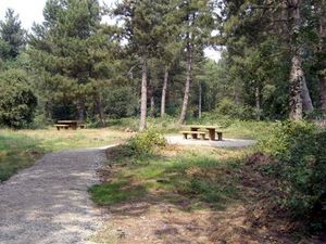 Supporting image for story: Letter - Hope for our youths