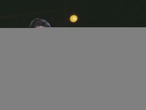 Supporting image for story: Handwritten Freddie Mercury lyrics could fetch up to £150,000 at auction