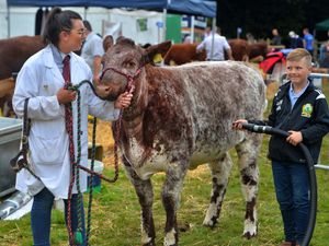 Supporting image for story: Region gears up for popular Burwarton Show 