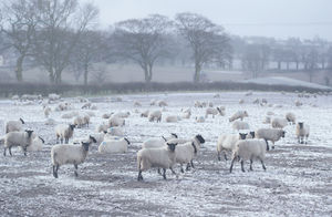 Wintery conditions in Aldridge on Monday