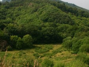 Laurence's Hill