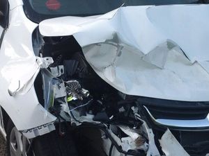 Supporting image for story: Deer hit by car in Rugeley