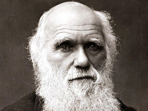Supporting image for story: PETA to use Shrewsbury's Charles Darwin festival to call for end to 'speciesism'