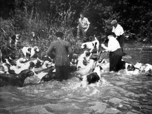 Supporting image for story: Pictures from the Past - Week ending March 25