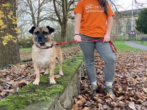 Supporting image for story: Walk 100 Miles in March for incredible challenge for Acorns