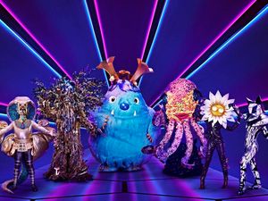 Supporting image for story