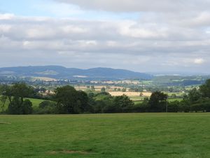 Supporting image for story: Telford firm looks to help nature in first of its kind collaboration  