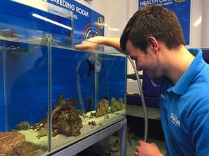 James checks on the sea creatures