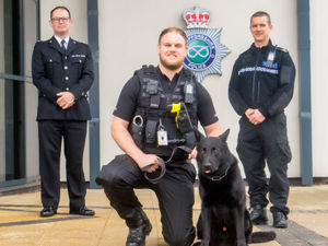 Supporting image for story: Celebrations as police rugby player completes dog handling training