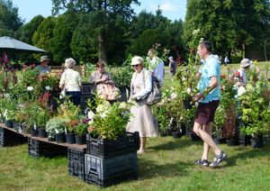 New Summer Plant Fair at Chasewater Country Park This Sunday