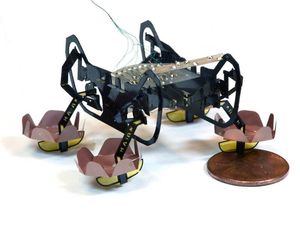 Supporting image for story: This cute robot cockroach can swim and even walk underwater