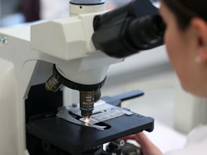 Supporting image for story: 3.4m scientific testing procedures carried out on living animals in 2019 – study