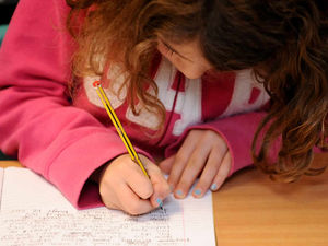 Supporting image for story: Creation of Wolverhampton school places agreed