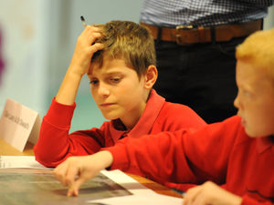 Supporting image for story: Shropshire Star comment: STEM vital for guiding our future