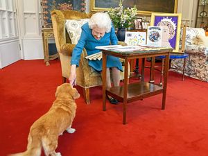 Supporting image for story: Queen’s corgis get new home as royal relative adopts Her Majesty's last dogs