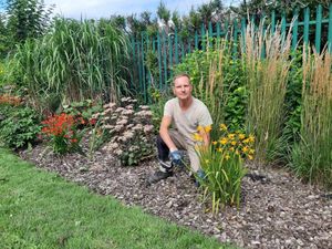 Supporting image for story