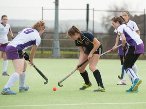 Supporting image for story: Shrews bounce back in style