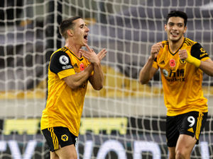 Supporting image for story: Wolves 2 Crystal Palace 0 - Report and pictures 