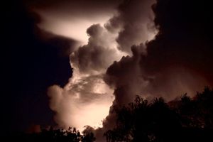 Picture: Steven Evans