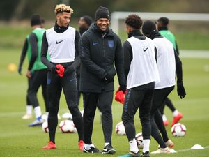 Supporting image for story: Former Wolves, West Brom and Aston Villa man Joleon Lescott helps Young Lions as he eyes the boardroom