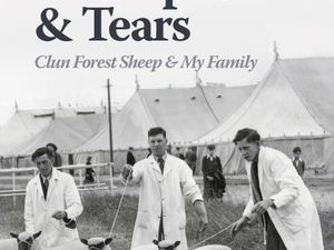 Supporting image for story: 'Triumphs and Tears': A family’s journey with Clun Forest Sheep