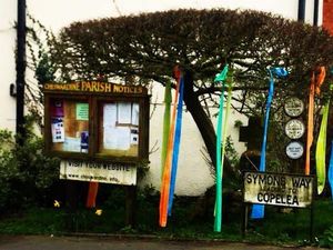Supporting image for story: Mother and son decorate tree to keep Shropshire villagers smiling