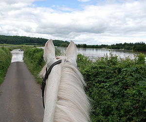 Frances Meier, of Eastham Park, Eastham, Tenbury Wells, has sent us a series of pictures capturing the flooding in the area. Here is a horse's eye view.
