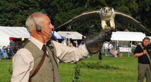 Get up-close and personal with your favourite birds of prey
