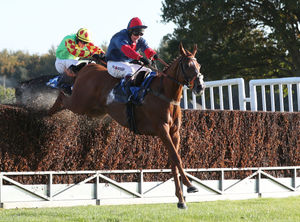 Supporting image for story: Ludlow Racecourse's opening day promoted as a great Midlands day out