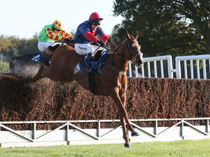 Supporting image for story: Ludlow Racecourse's opening day promoted as a great Midlands day out