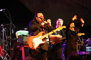 Roy Wood and his Rock 'n' Roll Band at the Robin 2. Pic: Chris Rawlins