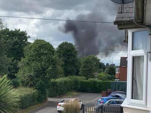 Supporting image for story: Stourport garden nursery engulfed by blaze