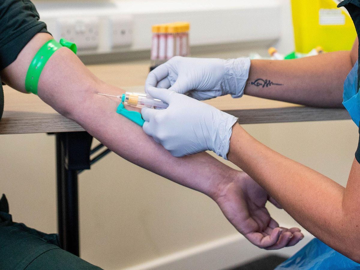 Scientists develop first-ever blood test to diagnose ME