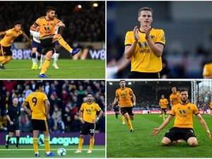 Supporting image for story: Comment: Wolves honeymoon given stern test but perspective is needed