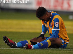 Supporting image for story: Ivan Toney departs Shrewsbury Town as loan deal ends