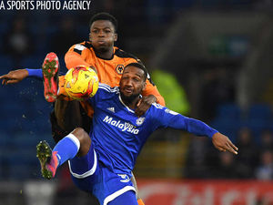 Supporting image for story: Cardiff City 2 Wolves 1 - Report and pictures